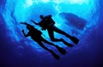 Important Information Regarding Diving Training Courses Overseas