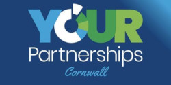 Free 12 month membership of the AMAZING Cornish Partnerships Networking Group!