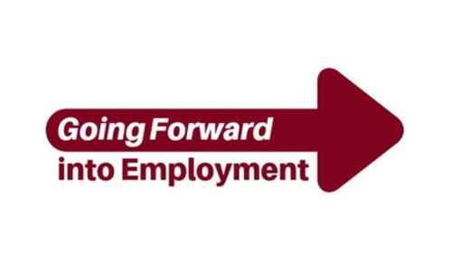 Civil Service Jobs – Going Forward into Employment case studies